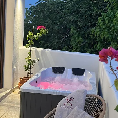 Appartement Vetus Vicinato Luxury Homes *