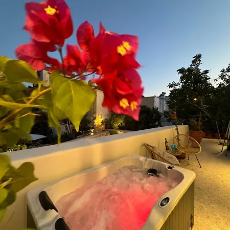 Vetus Vicinato Luxury Homes